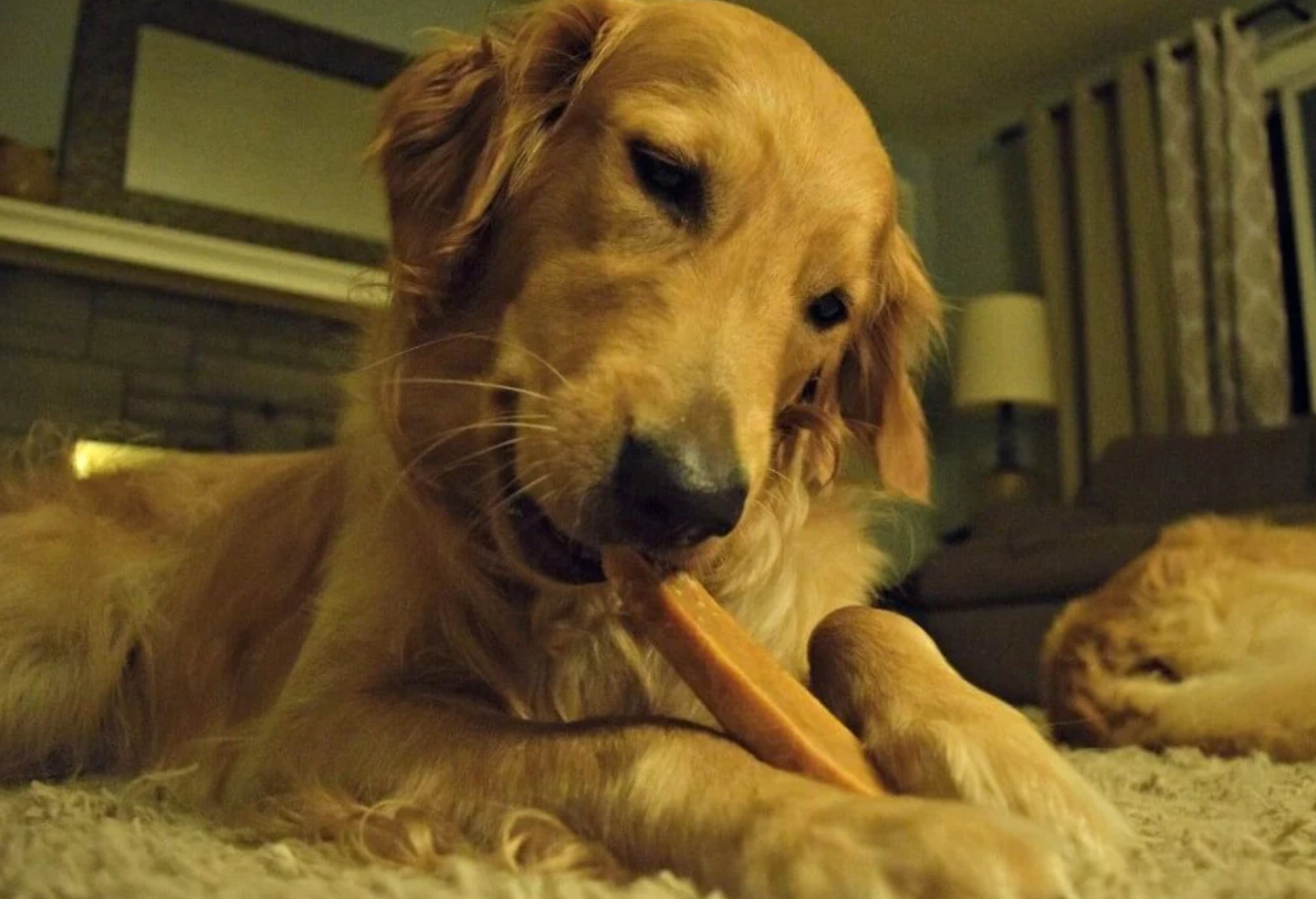 EcoKind Pet Treats: Peanut Butter Chews