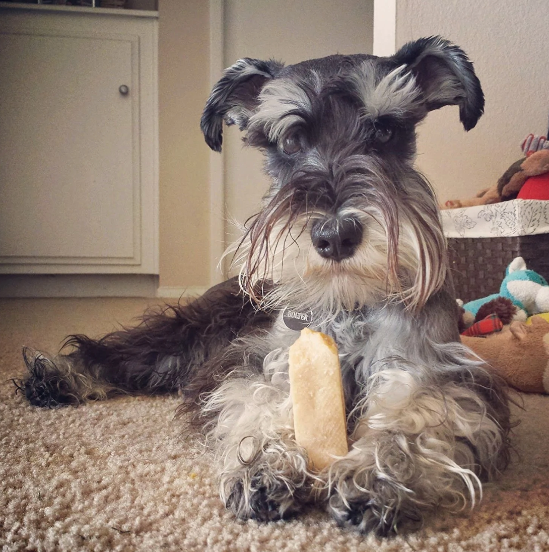 EcoKind Pet Treats: Peanut Butter Chews